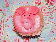 膵細胞移植でインスリン不要